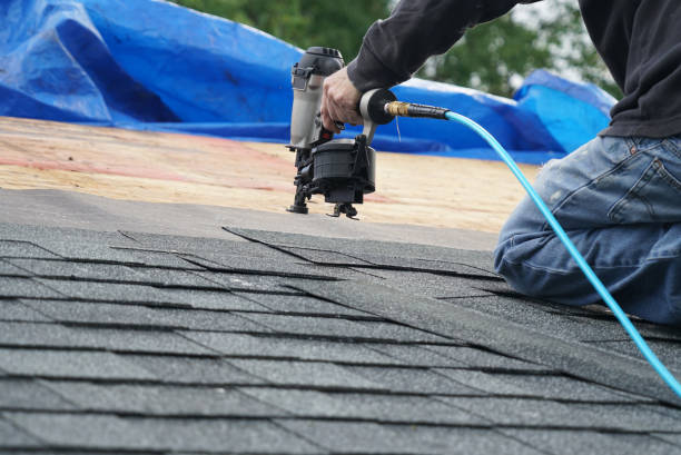 Best Roof Ventilation Installation  in Mount Shasta, CA